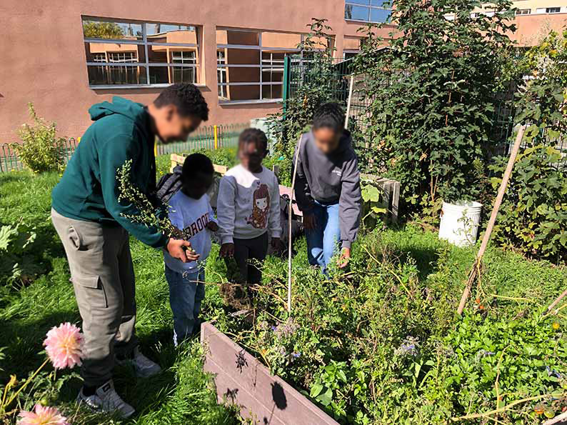 Elèves qui aménagent un potager et créent un jardin d’agrément dans leur cour