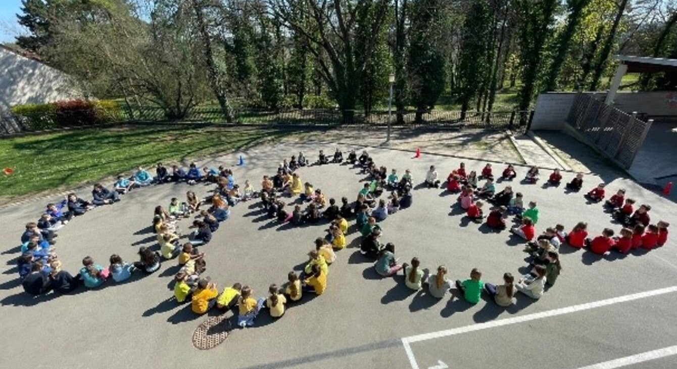 sop ecole les vieilles vignes ferte alais