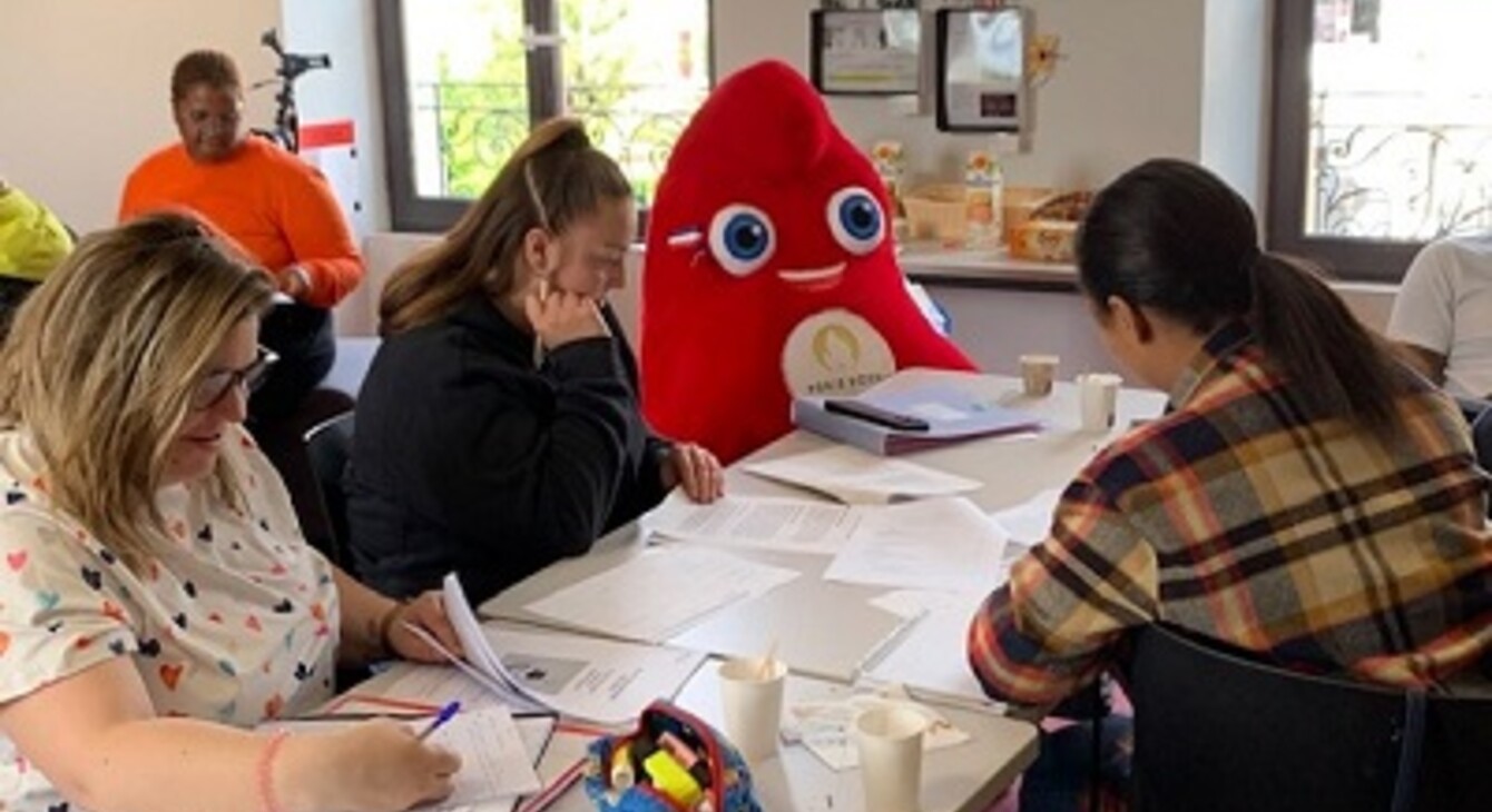 91 sdjes actus accueil langues mascottes plan de formation 2