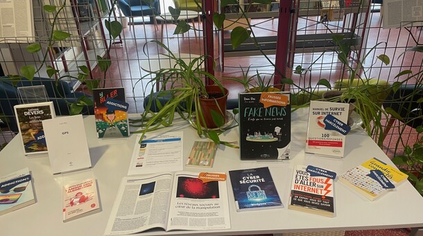 livres sur le thème du safe internet day au CDI