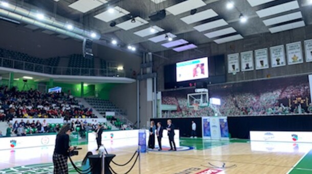 Stade du Palais des Sports