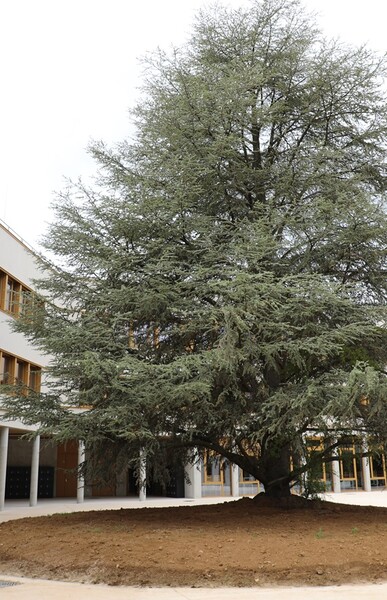 91 nouveau collège massy